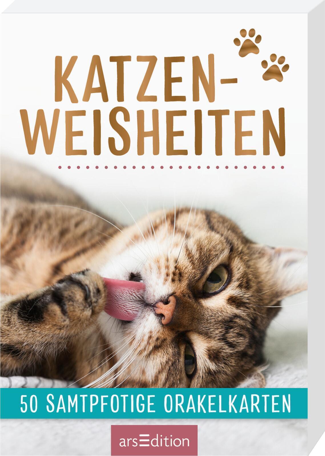 Katzenweisheiten. 50 Samtpfotige Orakelkarten | Taschenbuch | Deutsch