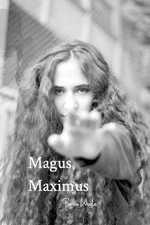 Magus Maximus by Bran Wode Paperback Book