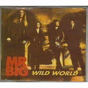 Mr Big Wild World Oop 1993 Germany Cd Single German Promo Infosheet For Sale Online Ebay