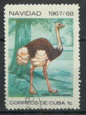 Common Ostrich    Struthio camelus bird  1967  stamp A199