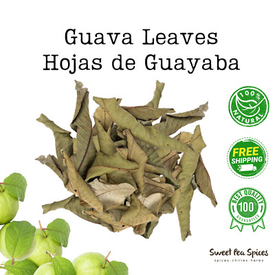 Hojas de Guayaba  - Bulk - Guava Leaves Tea - Organic - Dried Guava Leaf