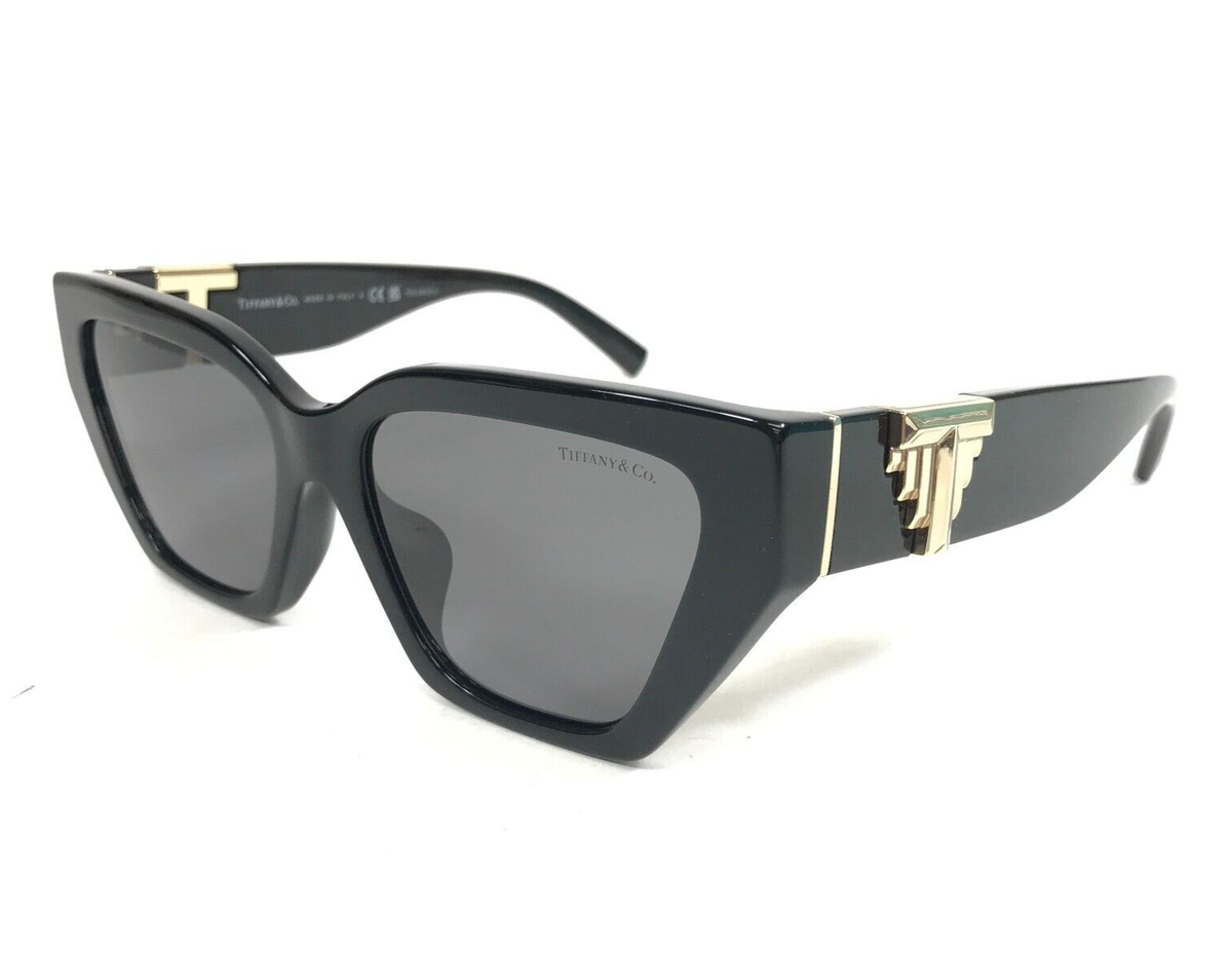Tiffany & Co Polarized Sunglasses Sunglasses Tiffany TF4237B | Free Shipping | Glasses.com® main image 2