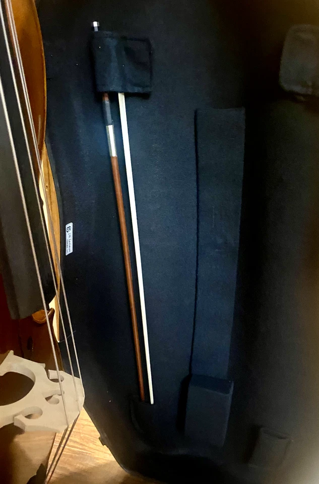 Eastman Strings Cello 4/4 with hard case - Image 3 of 4