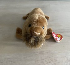 NWT Ty Beanie Baby Paul The Walrus 1999 Plush Toy Retired Rare Tag Errors