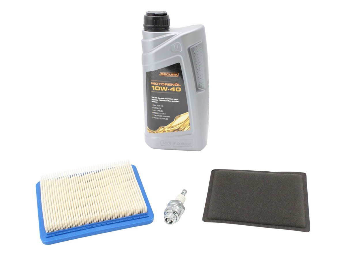 Seilzugstarter Für Briggs & Stratton Motoren – Passend Für 12H802-1769-B1, 12H802-1769-E1, 12H802-1771-B1