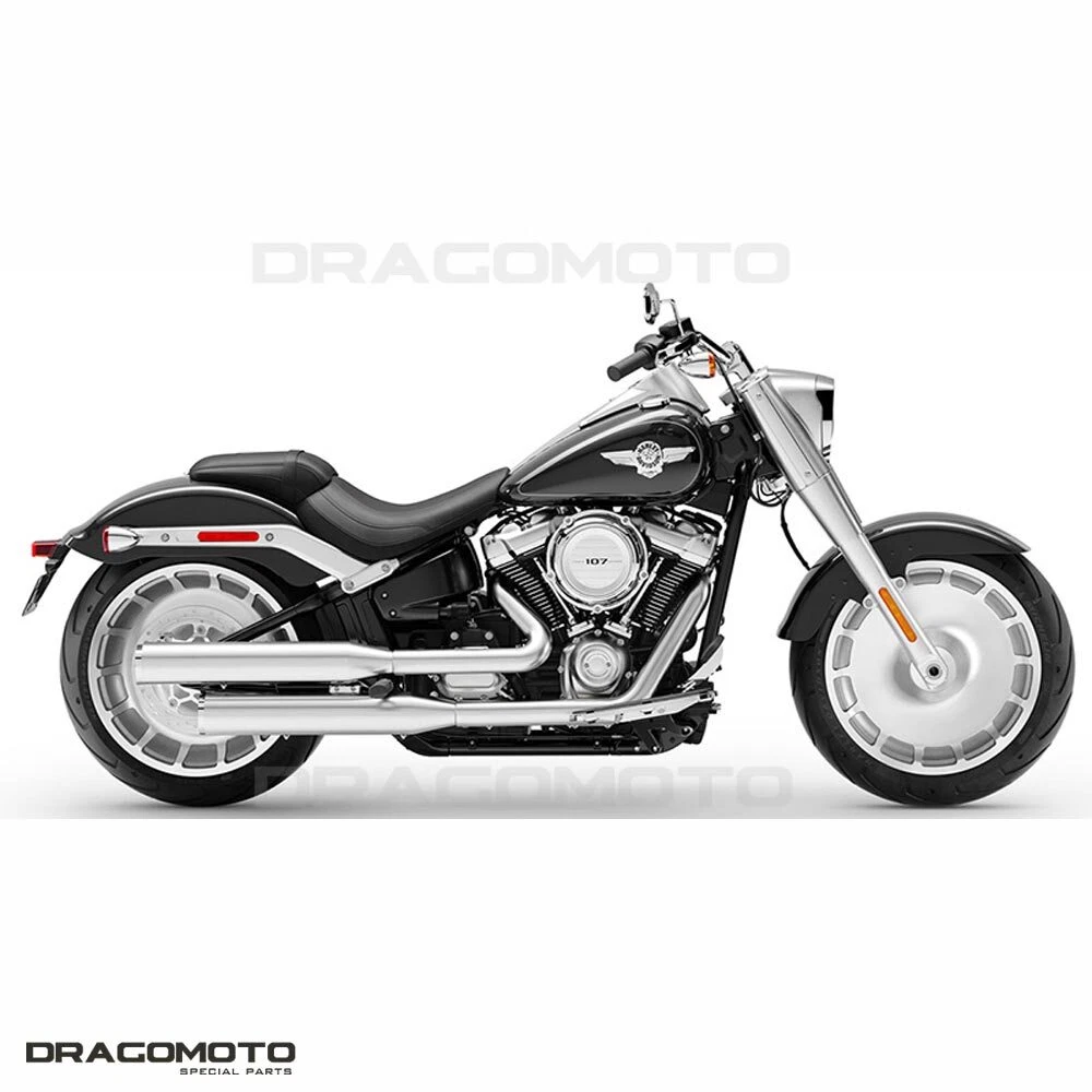 Harley davidson softail fat boy 2021 hot sale