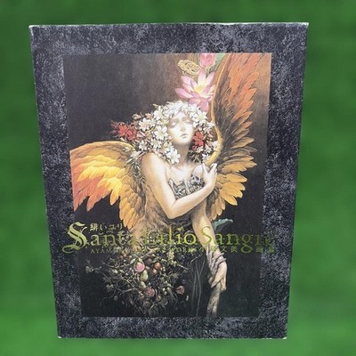 Castlevania Ayami Kojima Art Book Santa Lilio Sangre Japanese 1st Edition Used