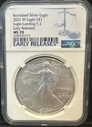 2021-W Type 2 Burnished Silver American Eagle NGC MS 70 Early Releases