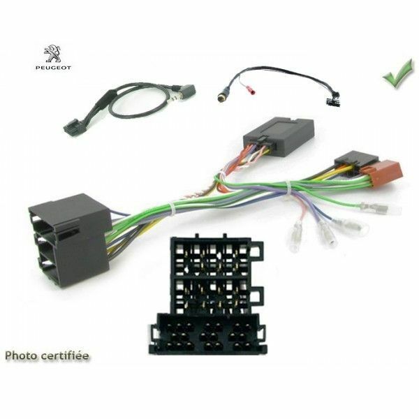 Commande au volant Peugeot 306 HDI pour restaurer le système audio d'origine lors des longs trajets