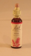 Bach Flower Remedies, Pine 20ml BBE 02/2029