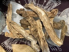 Stemona Root, Ward Against Evil, Protection From Magick, Psychic Awareness