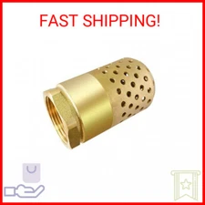 Brass Foot Valve 1 inch NPT Heavy Duty Spring Mesh Check Valve Female Connection