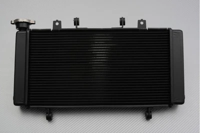 Radiateur d'Eau Type Origine pour HONDA CB750 / Hornet 750 RH24 2025-2026 - Photo 1/4