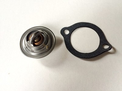 Thermostat für Hinomoto E2002 E2004 E202 E204 E222 E224 E232 E234