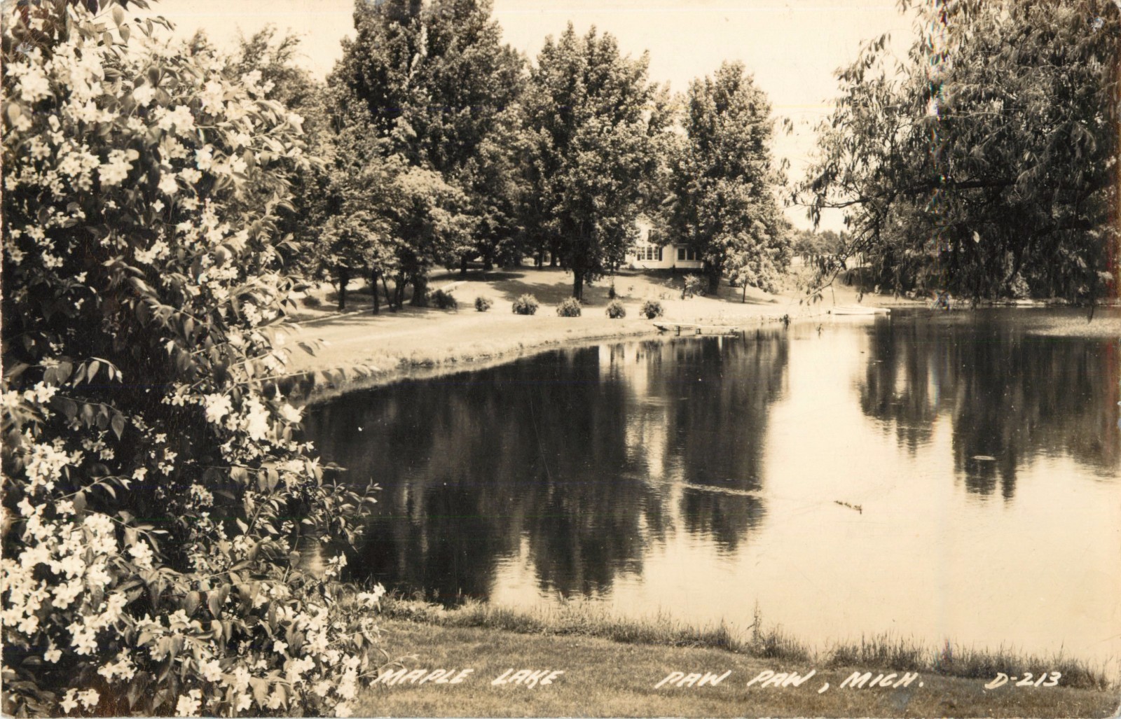 A View Of Maple Lake, Paw Paw, Michigan MI RPPC 1945 eBay