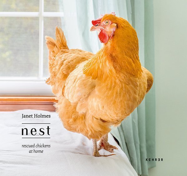 Thumbnail - Janet Holmes | Nest. Rescued Chickens At Home | Janet Holmes | Buch |