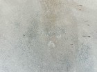 Foto 11 di 12