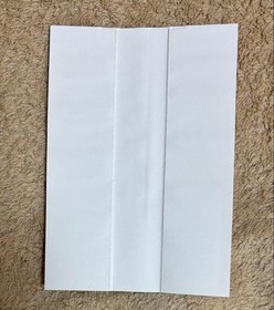 Roommate W Saturn only EE