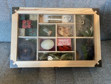 Oddities & Curiosities Shadow Box Display Dark Academia Morbid Decor Taxidermy