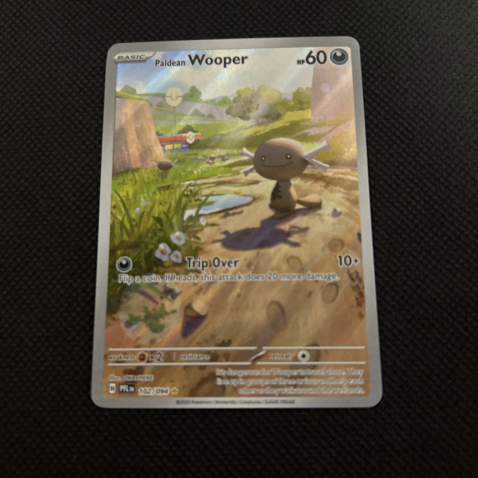 Pokémon TCG Paldean Wooper Phantasmal Flames Illustration Rare 102/094 NM Card