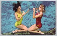 Spring Hill FL Lovely Underwater Weeki Wachee Mermaids Eat Florida Postcard