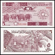 SOMALIA 5 Shillings, 1987, P-31, UNC World Currency