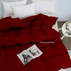 Foto 172 di 275
