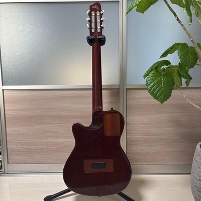 Acoustic Guitar Godin Multiac Nylon Duet Ambiance | eBay