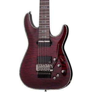 Hellraiser Schecter | eBay