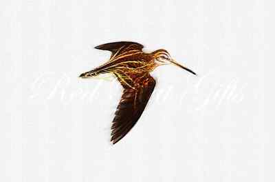 A3 Zeichenheber Snipe Inflight Ltd Edition