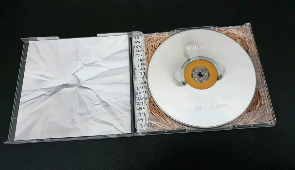 Wilco - A Ghost is born - 2 CD - Bild 3 von 4