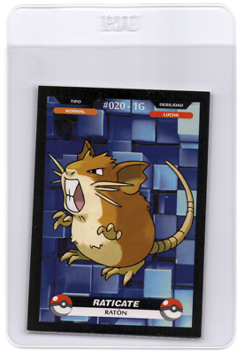 Pokemon Peruvian Raticate | eBay