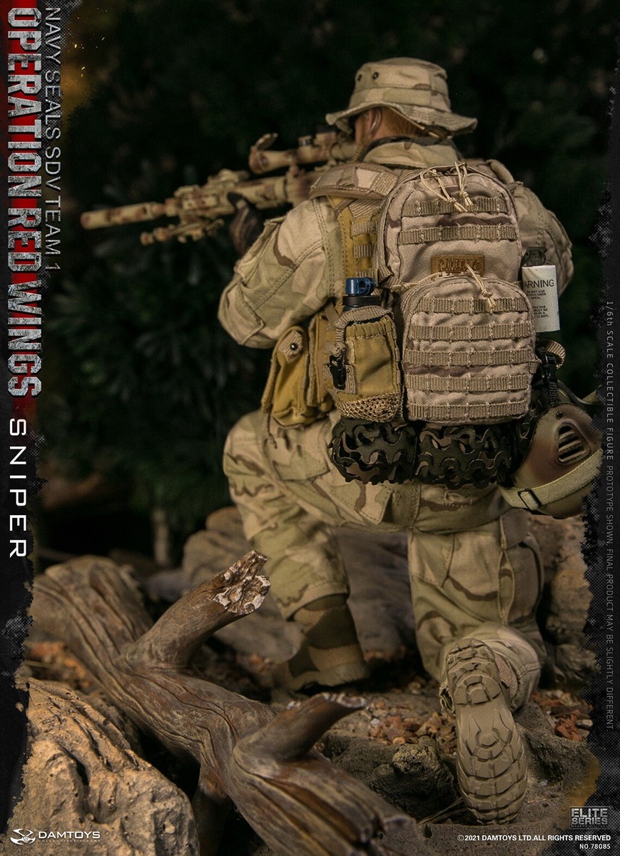 DAMTOYS DAM 78085 1/6 Operation Red Wings Seal Carrier Sniper