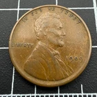 1909 VDB Lincoln Wheat Cent Penny - Exact Coin as Shown - #6