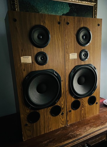 VTG Pioneer CS-R580 3-Way Wood Floor Speakers Pair Wood MIJ Bose Tested WORKS