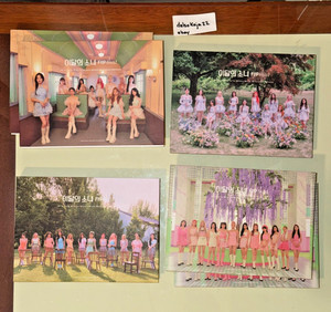 25+ Loona Flip That for sale | Updated Oct 2026