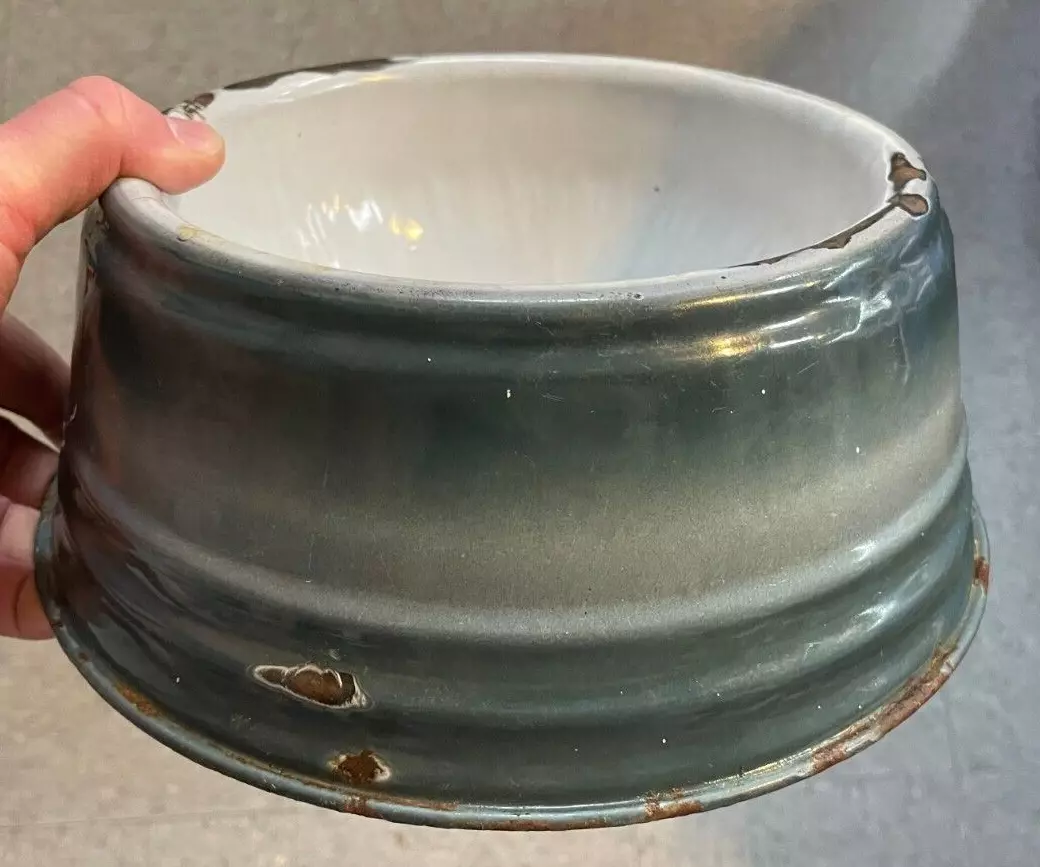 Enamelware 2025 dog bowl