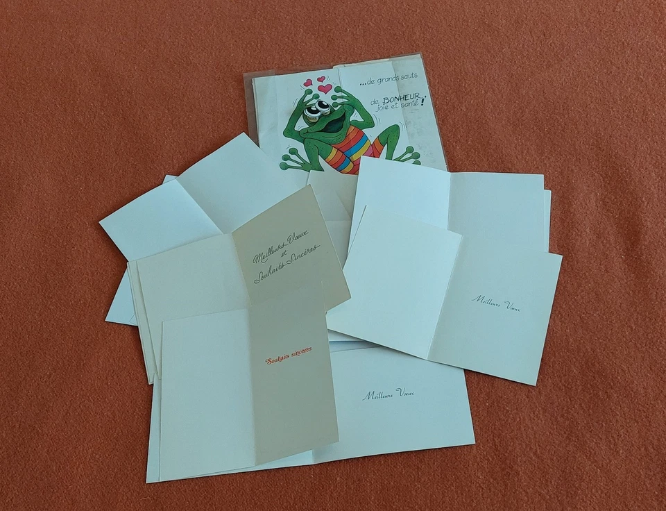 Lot Cartes de Voeux Vierges Toutes Occasions Neuves - Photo 2/2
