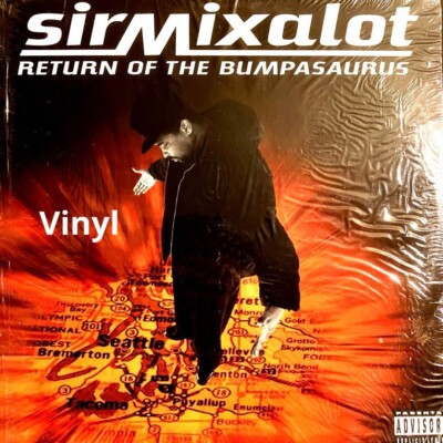 ●SIR BUMPIN Fluid Focus Mountain Bike Bump Stops