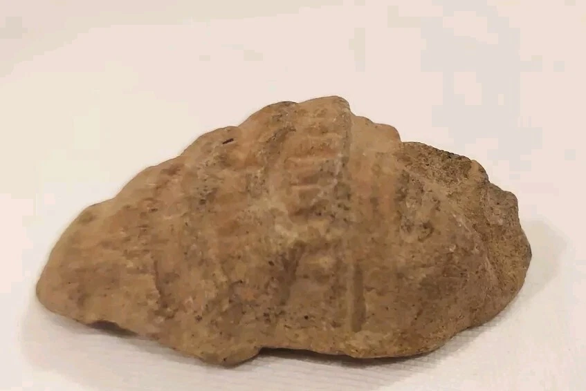 Tang Dynasty Tomb Guardian - Image 3 of 4