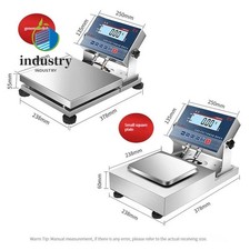 Electronic Stainless Steel Industrial Platform Scale for Paint Chemical Industry