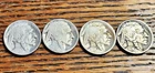 Buffalo Indian Nickel Lot of 4 - 1919 1925 1928  . . Maybe 1914? - Please Read