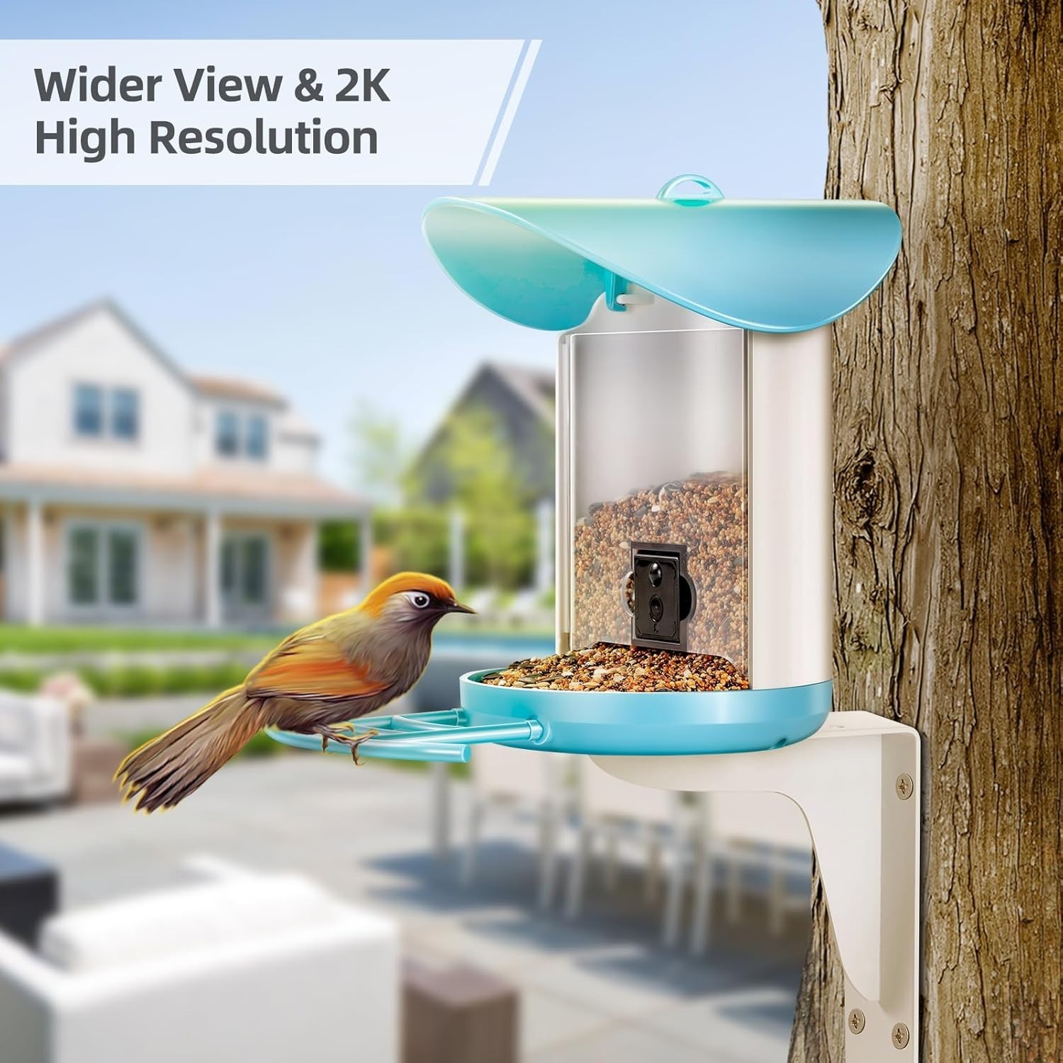 Smart Bird Feeder with 2K Live View Camera & AI Identify with Solar Panel