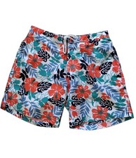 Trunks Surf  Swim boardshorts mens L Lined pockets watersports tropical beach