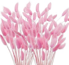 120 St&uuml;ck Trockenblumen Klein Pampasgras 40cm, Rosa Hasenschwanzgras Getrocknet