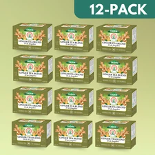 Tadin Ginger Tea Blend, 24 Tea Bags 1.02 fl oz, Bold & Aromatic (12-Pack)