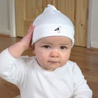 Foto 2 di 7