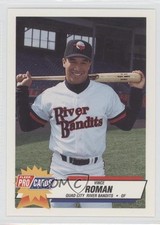 1993 Fleer ProCards Minor League Vince Roman #114 0q3