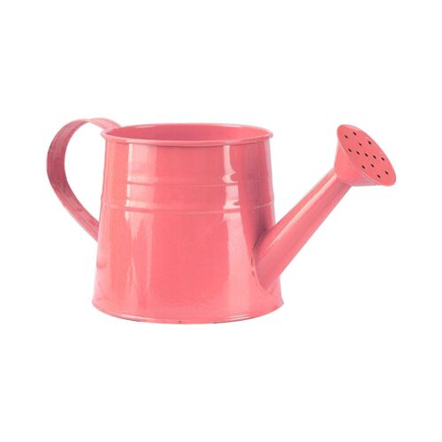Galvanized Iron Shower Iron Bucket Tinplate Watering Can for Garden Outdoor