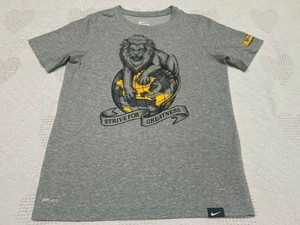 nike lebron james lion t shirt